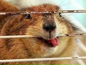 Фотография Гладских Виталика