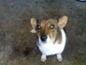 Віталік Шоломович фотография #36 (источник - https://vk.com/id101565152)