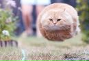 Марія Янишин фотография #2 (источник - https://vk.com/id162412988)