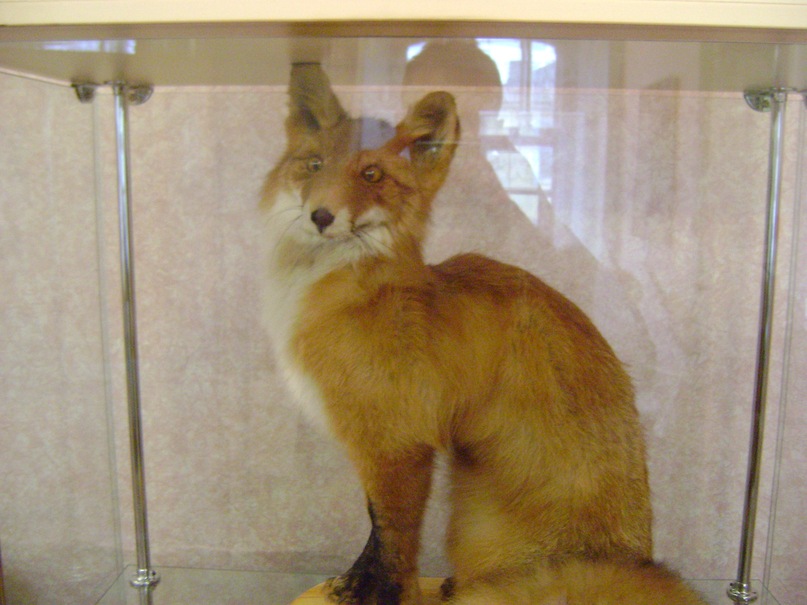 Андрей Мальков фотография #47