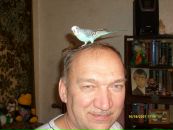 Сергей Дамаскин фотография #30 (источник - https://vk.com/id22146836)