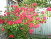 Андрій Давидюк фотография #14 (источник - https://vk.com/id100078032)