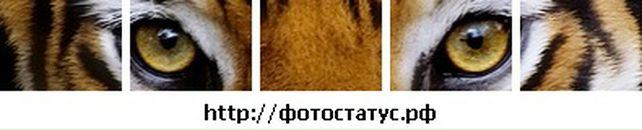 Андрій Більський фотография #32 (источник - https://vk.com/id114159050)