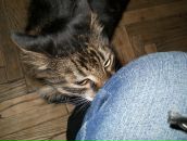 Фотография Анхеля Мэтью