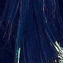 Софія Бойчук фотография #36 (источник - https://vk.com/id116197744)