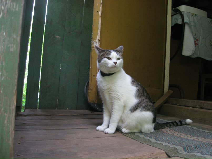 Наташа Дождёва фотография #22