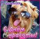 Аліса Кармелюк фотография #12 (источник - https://vk.com/id139551743)