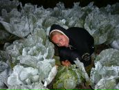 Марічка Герасимчук фотография #45 (источник - https://vk.com/id59312814)