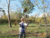 Фотография Колпаков Михаил