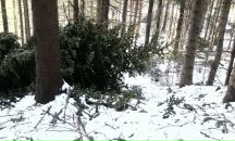 Володя Скірчук фотография #5 (источник - https://vk.com/id124752121)