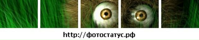 Андрій Сало фотография #50 (источник - https://vk.com/id63496237)