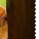 Андрій Чолій фотография #32 (источник - https://vk.com/id138222468)