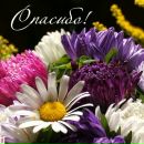 Фотография Лысак Людмилы