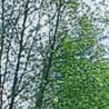 Андріана Петерсон фотография #27 (источник - https://vk.com/id156584043)