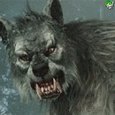 Сергій Сіянко фотография #46 (источник - https://vk.com/id161436457)