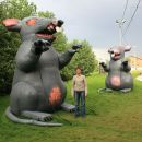 Фотография Бурбело Анастасии