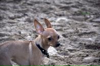 Фотография Костиной Анастасии