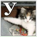 Юля Олеськів фотография #22 (источник - https://vk.com/id238254992)