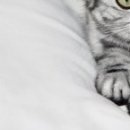 Наталія Олійник фотография #28 (источник - https://vk.com/id85387598)