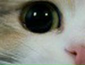 Віта Кульбовська фотография #14 (источник - https://vk.com/id103185794)