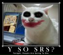 Котэ !!! фотография #18 (источник - https://vk.com/id145725628)