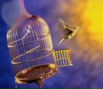 Фотография Миханьковой Ирины