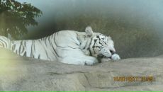 Фотография Файзуллиной Ильнуры