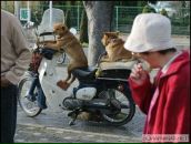 Фотография Клебана Виктора