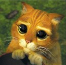 Віталік Олеськів фотография #50 (источник - https://vk.com/id159710902)