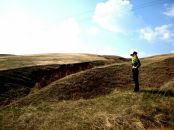 Фотография Reshetnikova Ekaterina