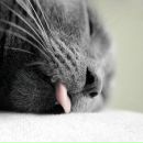 Фотография Ванинен Машеньки