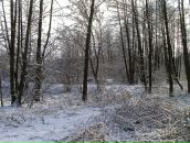 Михайло Сорокін фотография #36 (источник - https://vk.com/id17253856)