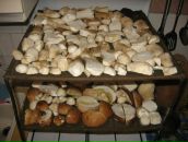 Наталі Керничишин фотография #16 (источник - https://vk.com/id61099308)