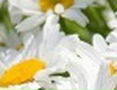 Люда Нагірняк фотография #32 (источник - https://vk.com/id86556399)