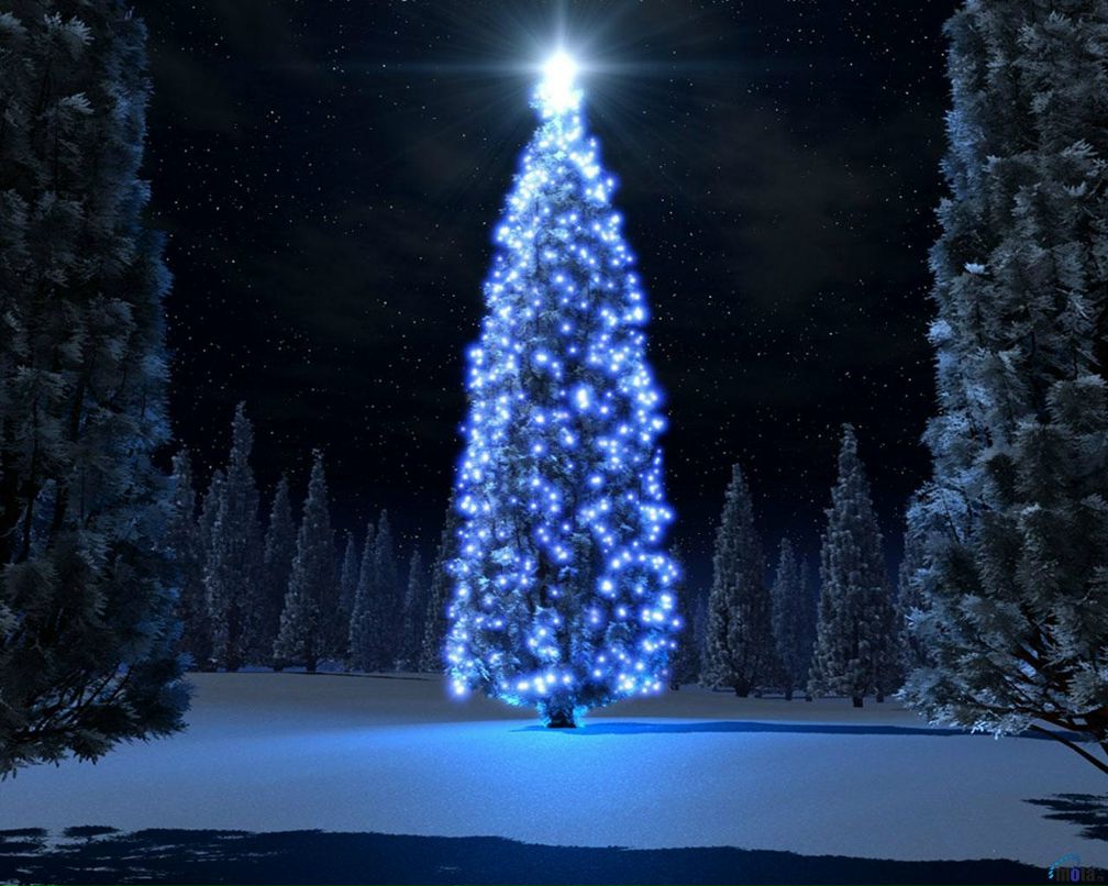 Станислав Симоченко фотография #35