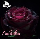 Анічка Шпак фотография #22 (источник - https://vk.com/id150905164)