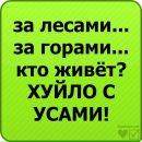 Віталік Драгущак фотография #14 (источник - https://vk.com/id138881853)