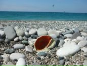 Фотография Тиуновой Натальи