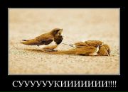 Дмитрий Копейкин фотография #33 (источник - https://vk.com/id318059)