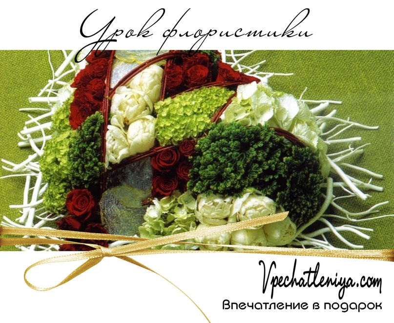 Vpechatleniya.com.ua @@@ фотография #46