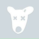 Фотография Гришина Сергея