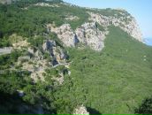 Дарія Василевська фотография #26 (источник - https://vk.com/id10233208)