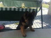 Кейт =) фотография #34 (источник - https://vk.com/id120276117)