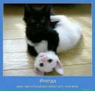 Ірина Шевченко фотография #45 (источник - https://vk.com/id17011710)