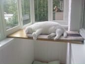 Фотография Мурыгиной Шашко