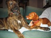 Іра Здурова фотография #12 (источник - https://vk.com/id6229171)