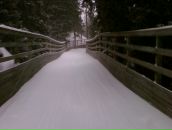 Дмитрий Звягин фотография #19 (источник - https://vk.com/id957409)