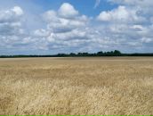 Андрій Романов фотография #5 (источник - https://vk.com/id524361)