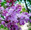 Христина Боянівська фотография #14 (источник - https://vk.com/id145602982)