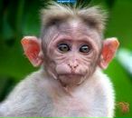 Фотография Рыбаковой Полины